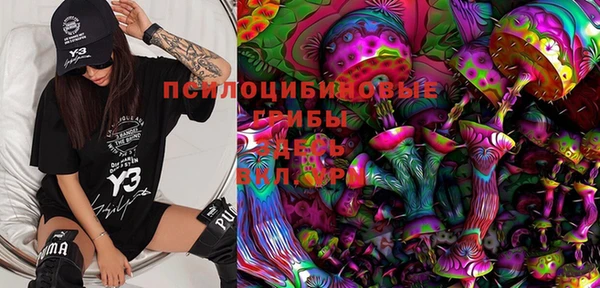 ПСИЛОЦИБИНОВЫЕ ГРИБЫ Аркадак