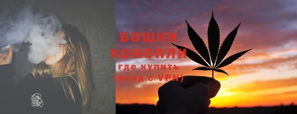 ПСИЛОЦИБИНОВЫЕ ГРИБЫ Аркадак