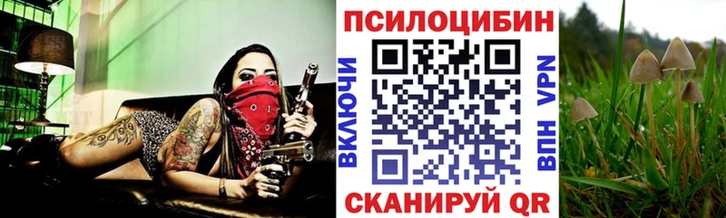 Галлюциногенные грибы GOLDEN TEACHER  Салехард 